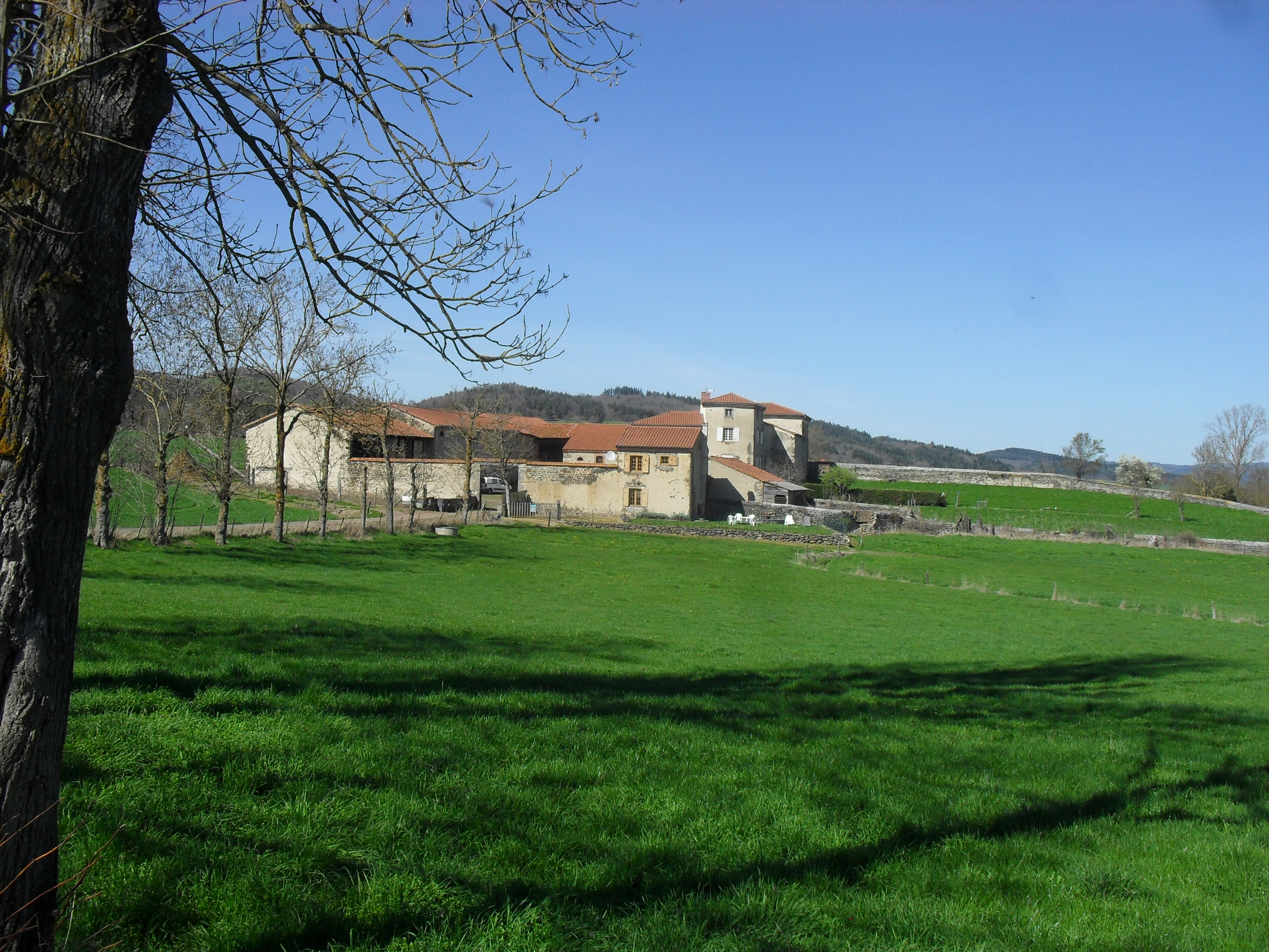 le Mazel - couteuges