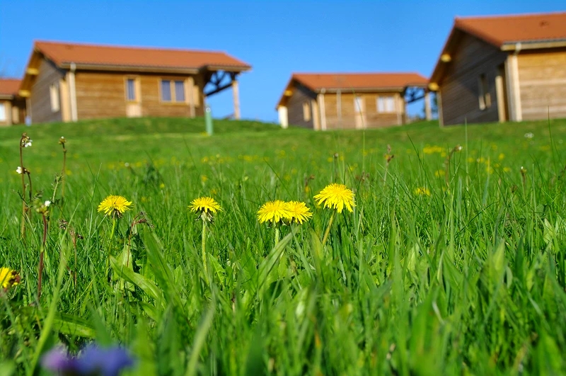 hco_hameaudesgitesbelhorizon__stpaldechalencon_ccmvr