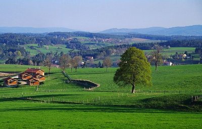 HLO_chaletvivarais_stpaldechalencon_ccmvr