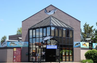 aquarium maison du saumon