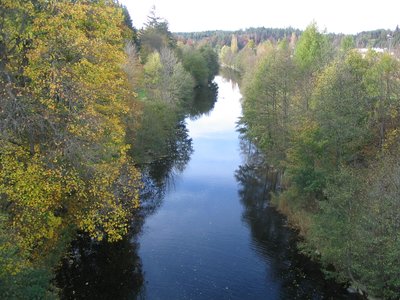 Les gorges du Lignon