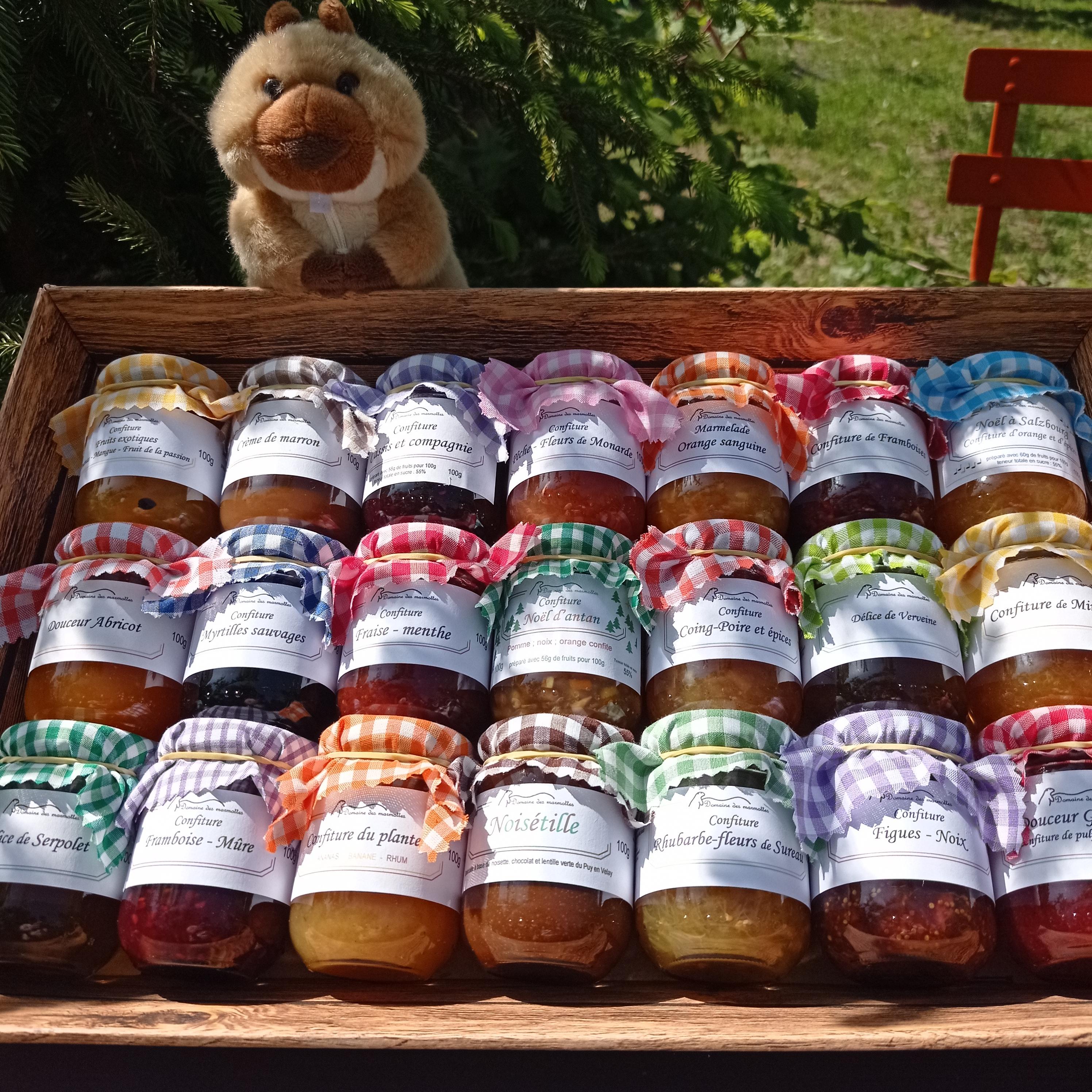 Domaine des Marmottes_Fay-sur-Lignon