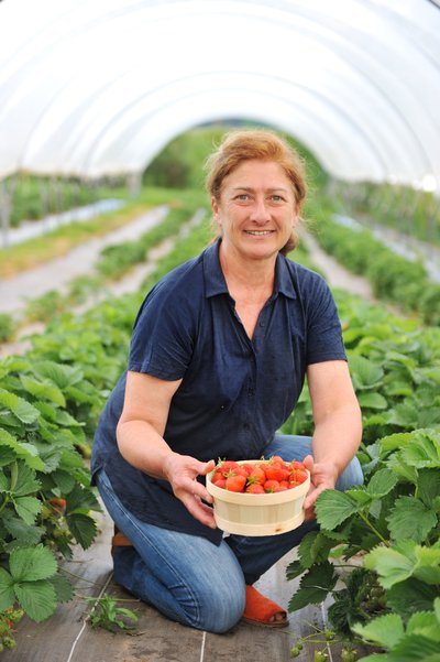 Christelle dans son champ de fraise