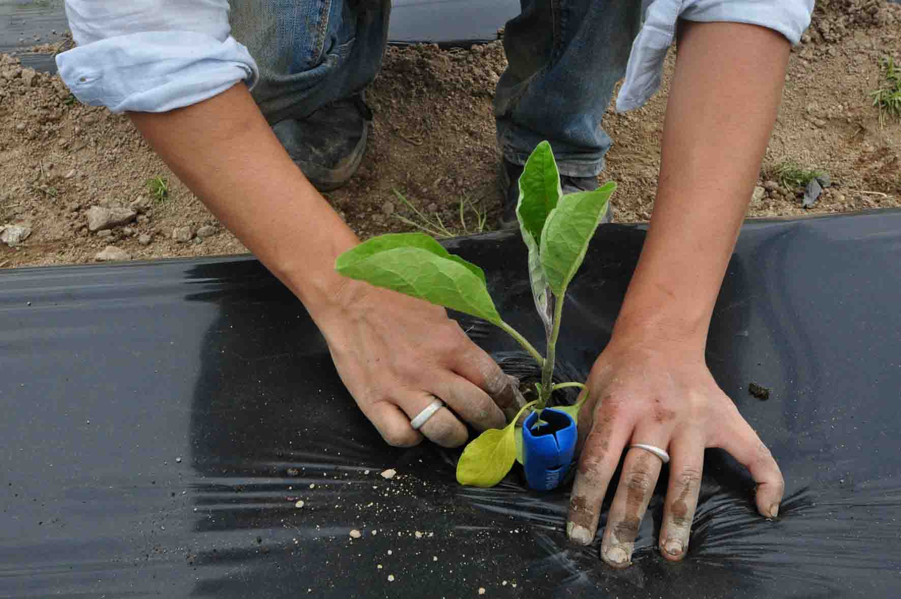 PDT_aufildeleaujardindecocagne_monistrol