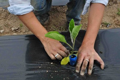 PDT_aufildeleaujardindecocagne_monistrol