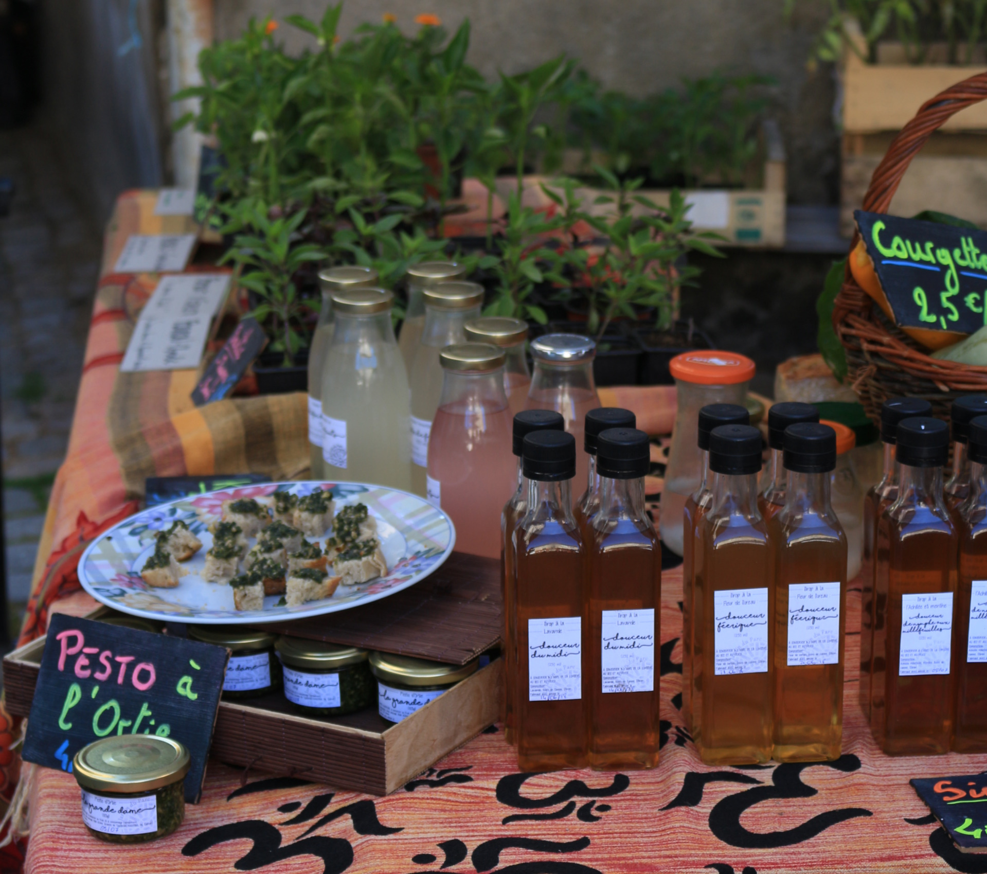 Le jardin du Parc Craponne sur Arzon