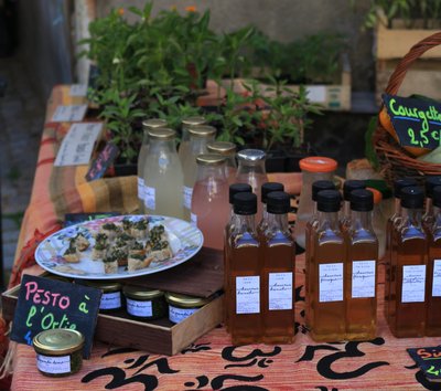 Le jardin du Parc Craponne sur Arzon