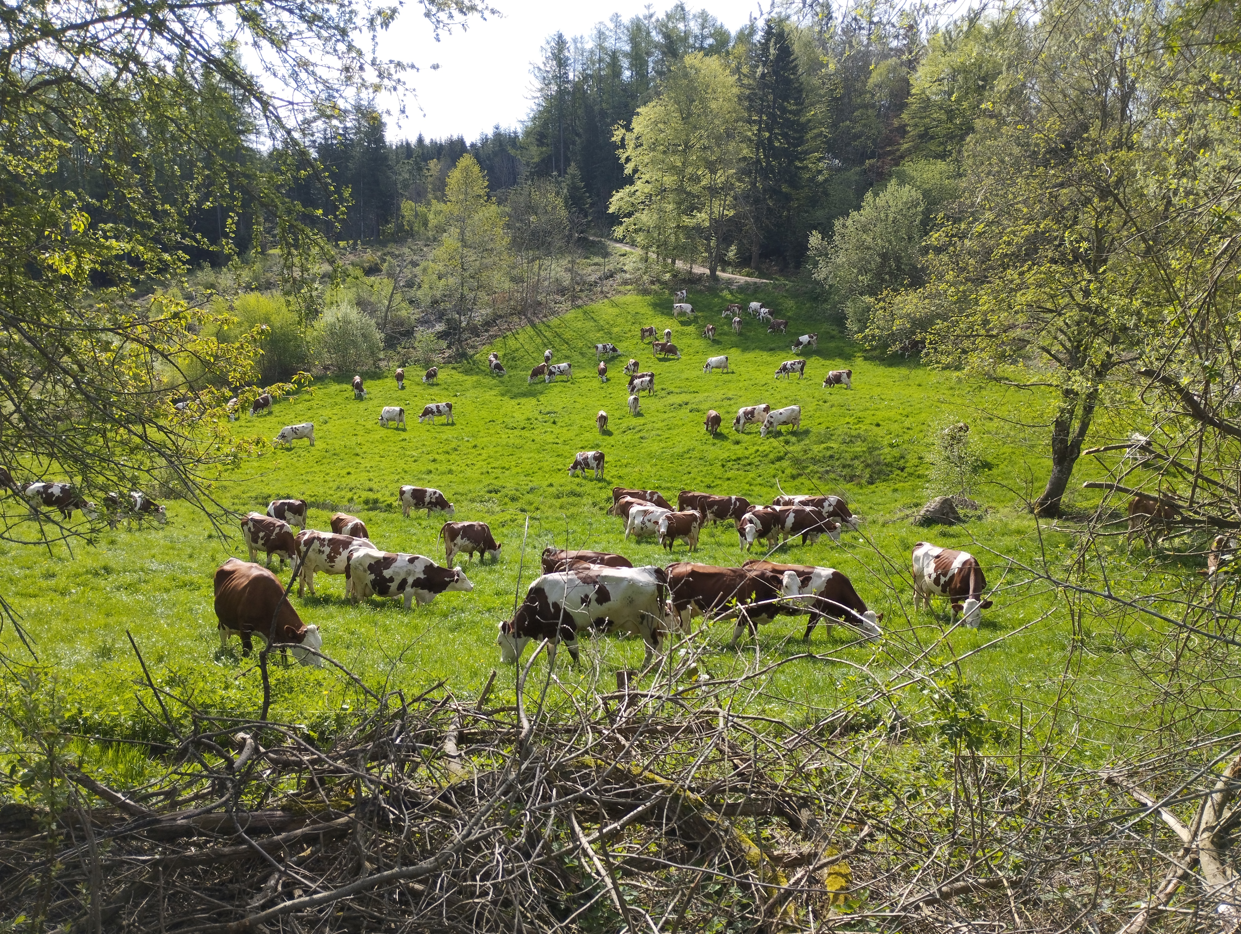 GAEC Des Beaudor_Tence