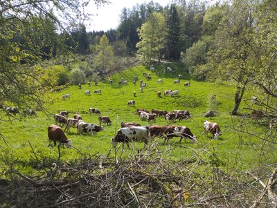 GAEC Des Beaudor_Tence