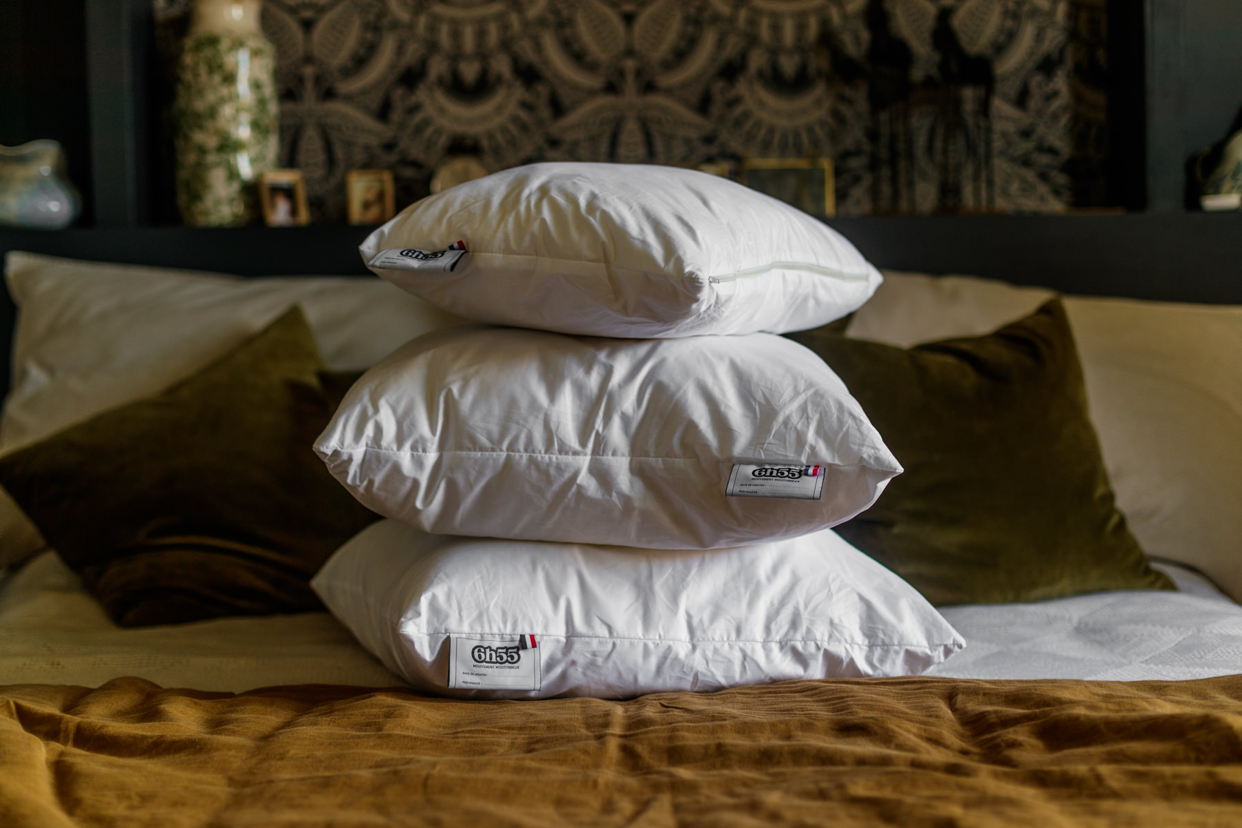 cos-6h55_bas en basset- Jean-Philippe Gimenez