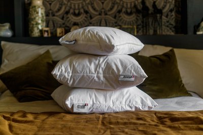 cos-6h55_bas en basset- Jean-Philippe Gimenez