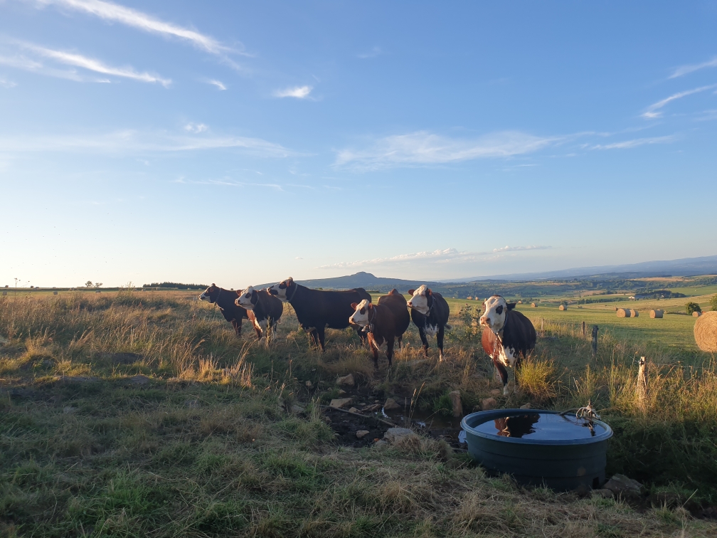 Ferme du Lignon_Fay-sur-Lignon