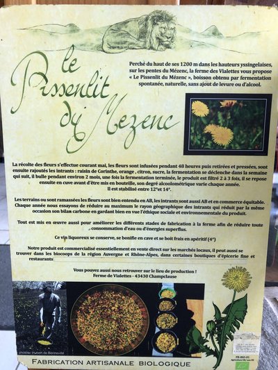 Pissenlit du Mézenc_Champclause