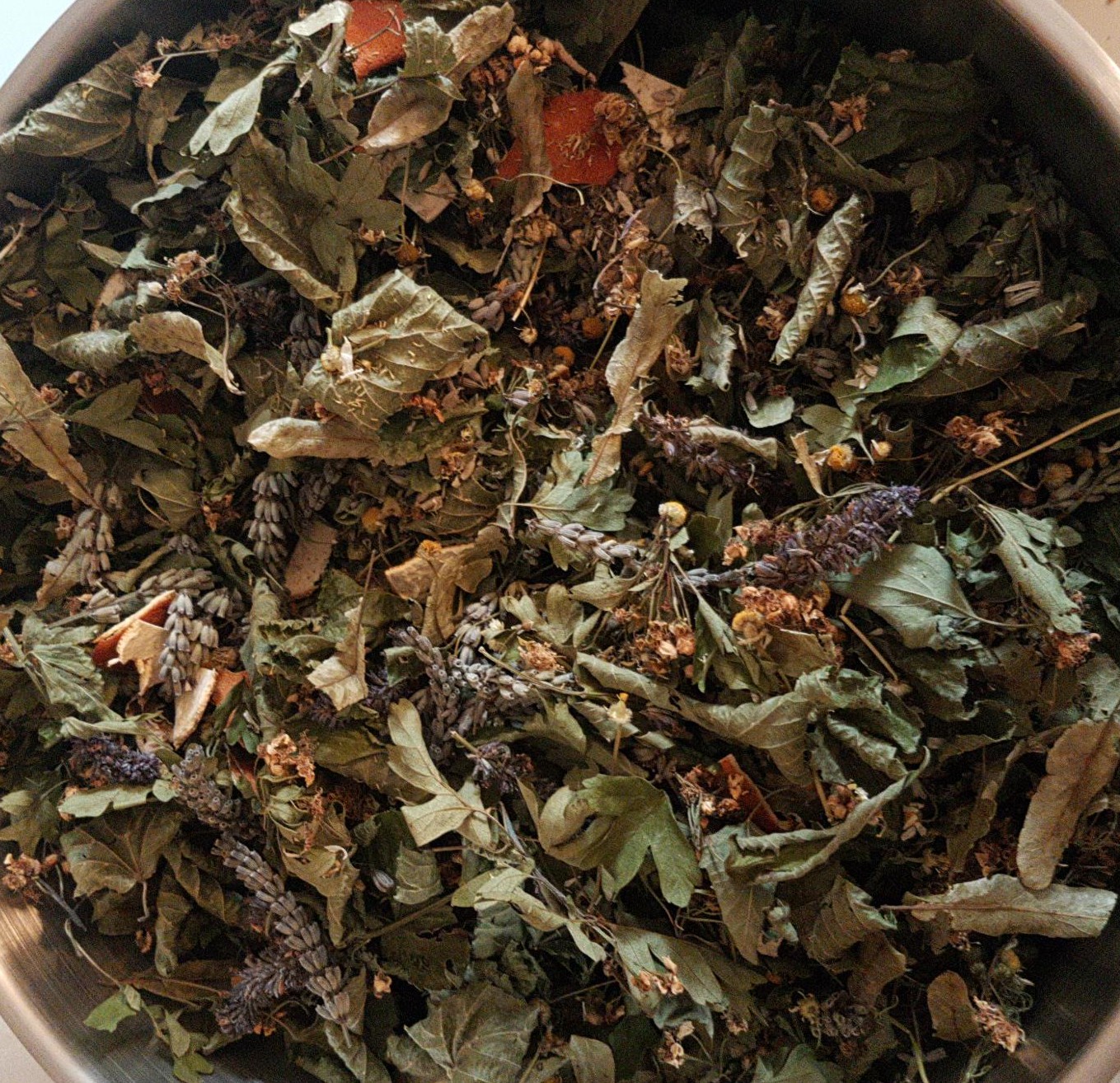 Marion VIENNOT_Saint-Julien-Chapteuil