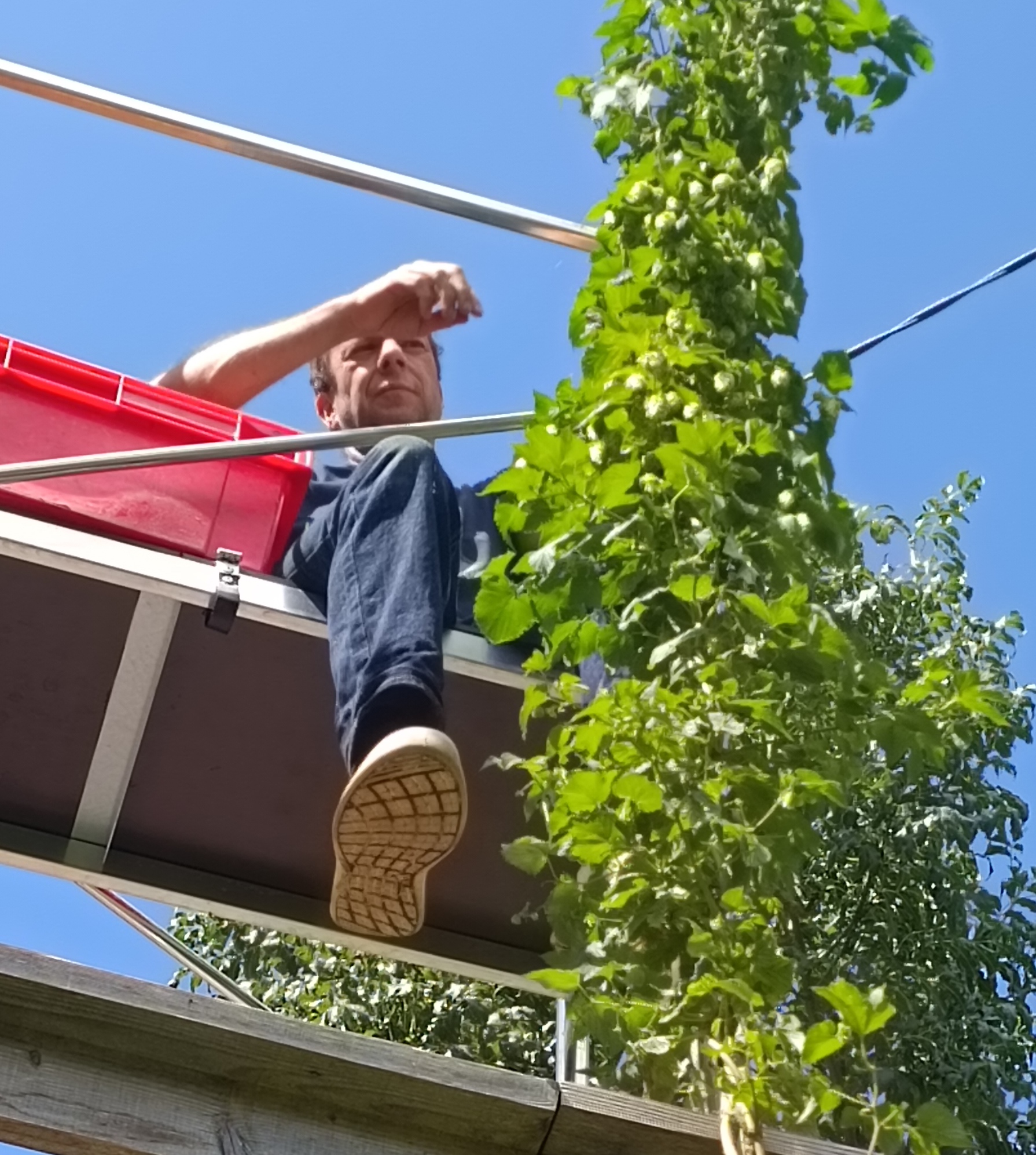 La Pastorale_Les Estables