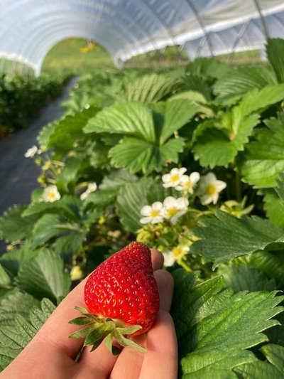 La Ferme de Chambodet_Grazac